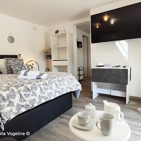Cosy Avec Vue Jardin, Calme Et Confort Garantis Bains-les-Bains