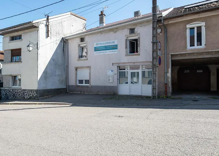 1 Studio Et 2 Appartements 3 Etoiles Au Calme A 150 M Des Thermes - Bains-Les-Bains Bains-les-Bains